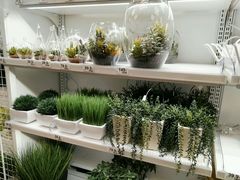 -NITORI 宜得利家居(杭州良渚永旺店)