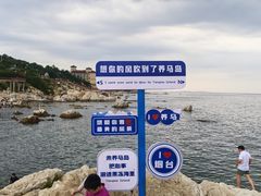 -养马岛旅游度假区