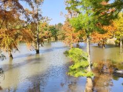 -上海长兴岛郊野公园