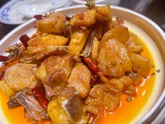 -志晖园圆子鸡·辣子鸡(阳光店)