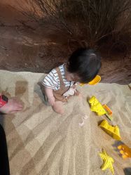 -卡通尼·Safari非洲探索乐园·生日会(金桥国际商业广场店)