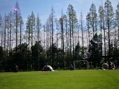 -前小桔亲子创意农场·草莓采摘·露营烧烤