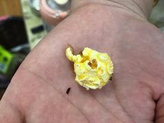 -大溪地量贩KTV(合肥1912店)