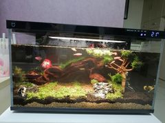 -花鸟鱼虫鲜花绿植市场(玉泉路店)