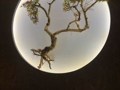 -大桶大足浴(田林路店)
