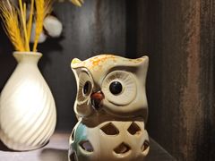 -雪灵魔法世界SHELLY’S TAROT(大良桂畔里店)