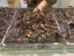 -都士牧人现烤牛肉干