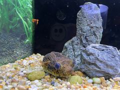 -上海海洋水族馆