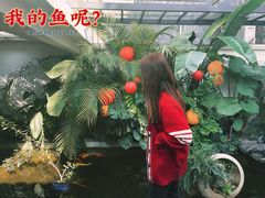 -漫笙舍Manse·咖啡·民宿