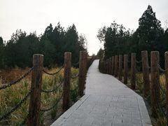 -白水寺森林公园