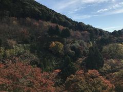 -有栖山 清光院 清水寺