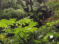 -贵阳猴耳天坑·极限酷玩公园