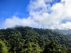 -野象谷景区