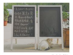 -隹木咖啡馆(宝龙广场店)