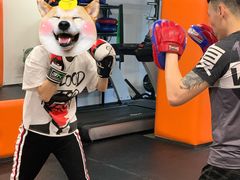 -体育科代表搏击散打体能训练馆(陶然亭店)