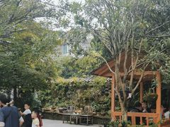 -青城甲(青城山店)