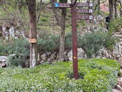 -大连植物园
