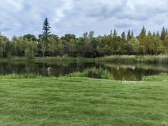 -养云安缦吧THE BAR