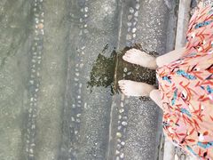 -东郊椰林