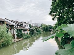 -小河无名面馆