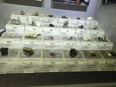 -湖南省地质博物馆