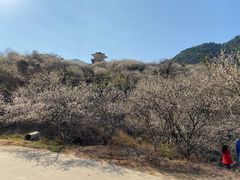 -广州市流溪河国家森林公园