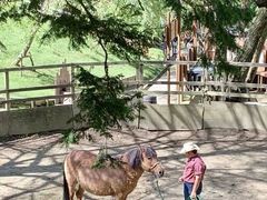 -神户市立六甲山牧场