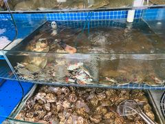 -蟹谢蒸鲜自助餐厅