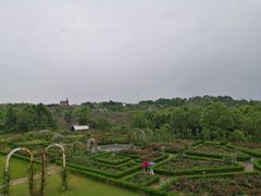 -都江堰玫瑰花溪谷