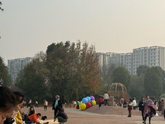 -枫香湖儿童公园