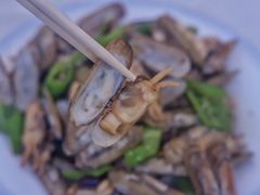爆炒蛏子-日照大牌檔•小船海鲜(万平口店)
