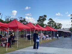 -春花秋色城市公园