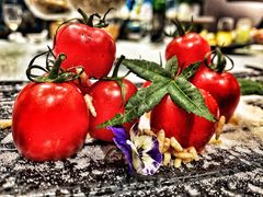 -外滩1288花园丽舍