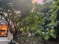 -小洲村