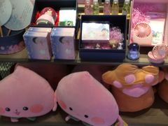 -酷乐潮玩(金桥国际店)