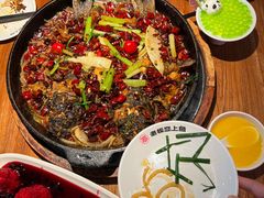 -老板恋上鱼(恒隆广场店)