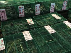 -荔城生鲜盛宴(番禺旗舰店)