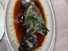 -大东海海鲜酒楼(渔人码头总店)