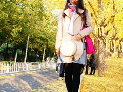 -三里屯东五街银杏大道