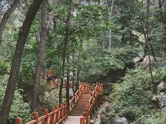 -大岭沟猕猴桃谷风景区