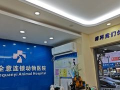 -全心全意连锁动物医院·微创中心·内科急重症·心脏专科(丰管路店)