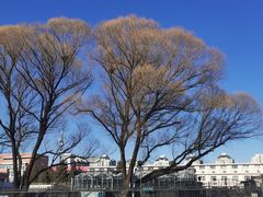 -中国农科院国家农业科技展示园