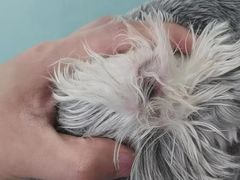 -乐琪宠物(青塔西路店)