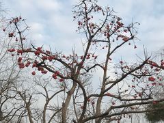 -西安华清御汤酒店