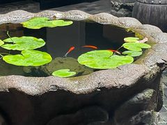 -31号公馆(黄兴广场白果园店)