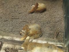 -昆明动物园