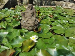 -都江堰普照寺