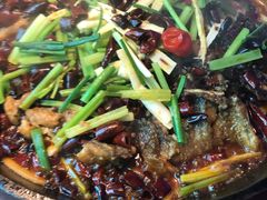 -老板恋上鱼(恒隆广场店)