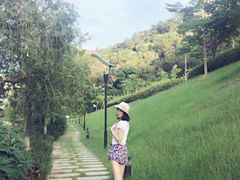 -厦门国家会计学院
