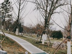 -西海子公园